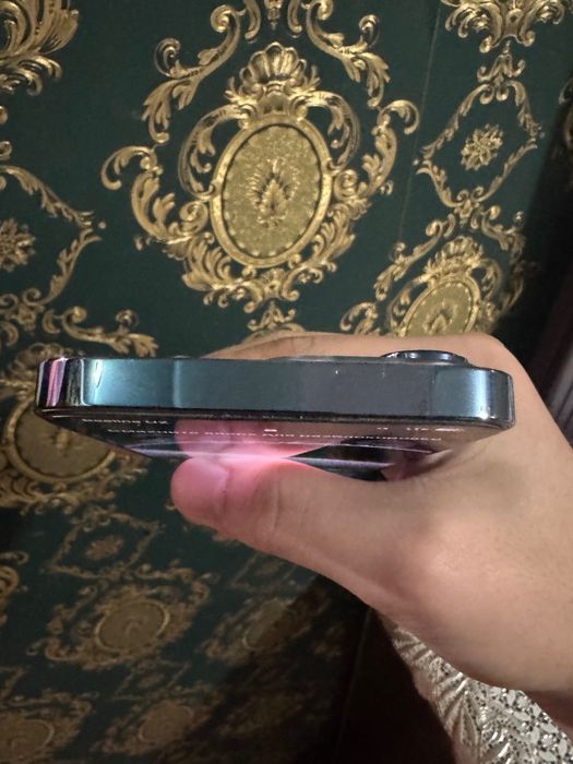 iPhone 13 pro LL/A