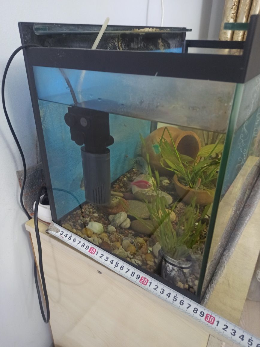 Akvarium sotiladi 50 Litr 6 mm
