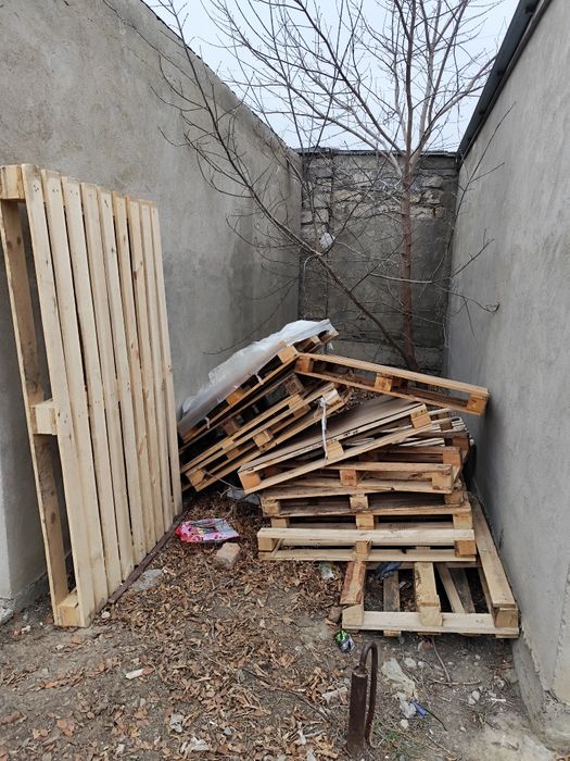 Поддон 10 шт стандартный,1 длинный