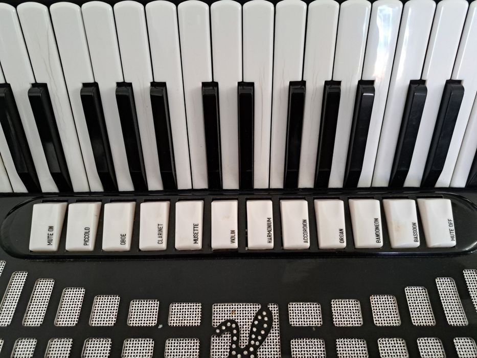 Acordeon Universal 120 basi italian