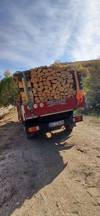 Lemne de foc esență tare Fag tăiate crăpate