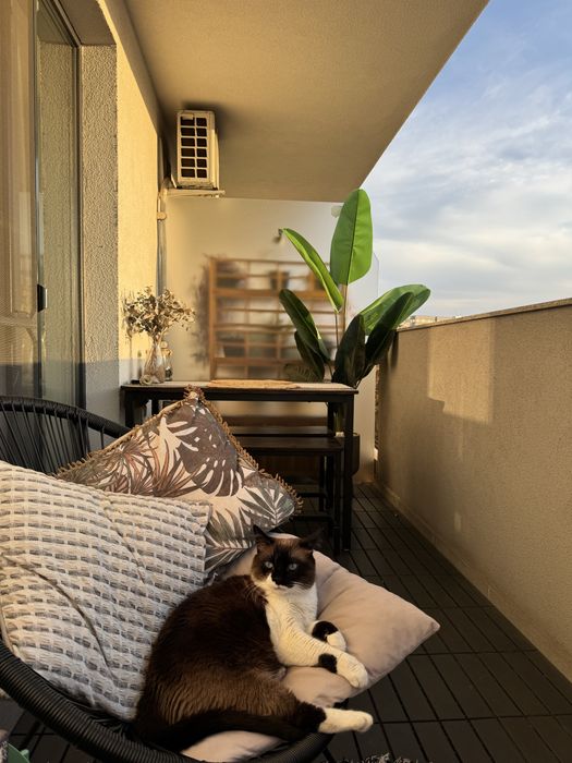 Ap 2 camera Calea Serban Voda 111/ Carol / Tineretului de inchiriat