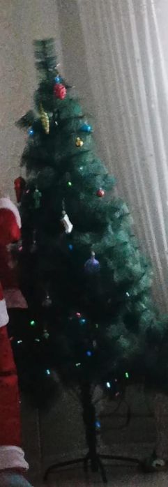 елка продаётся шырша