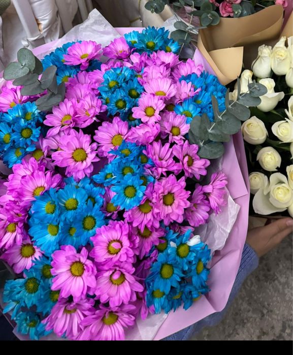 Продажа Цветы хризантемы