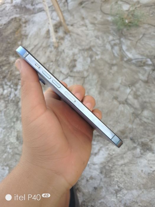 iPhone 13 Pro Max 256/100%