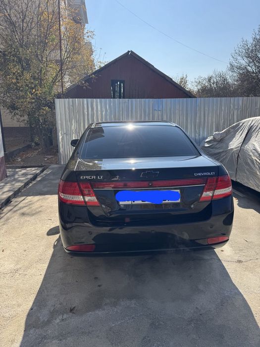 Мошина идиал состоянияда орқа крилода  петно бор