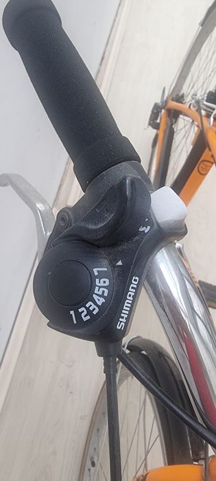 Bicicleta adulți Pegas