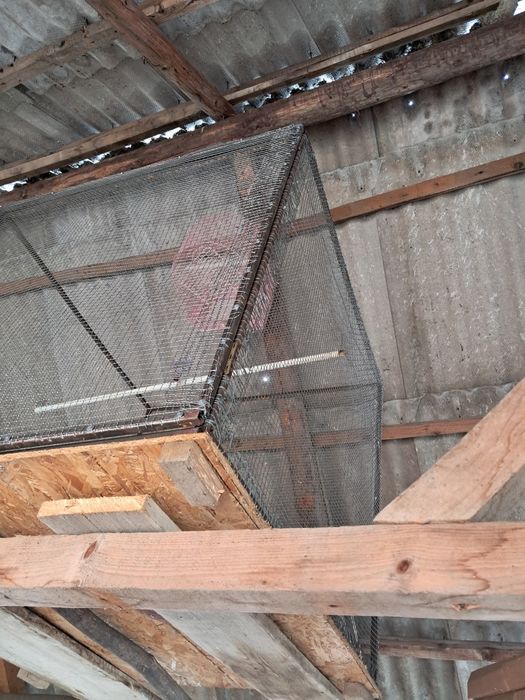 Colivie păsări peruș etc