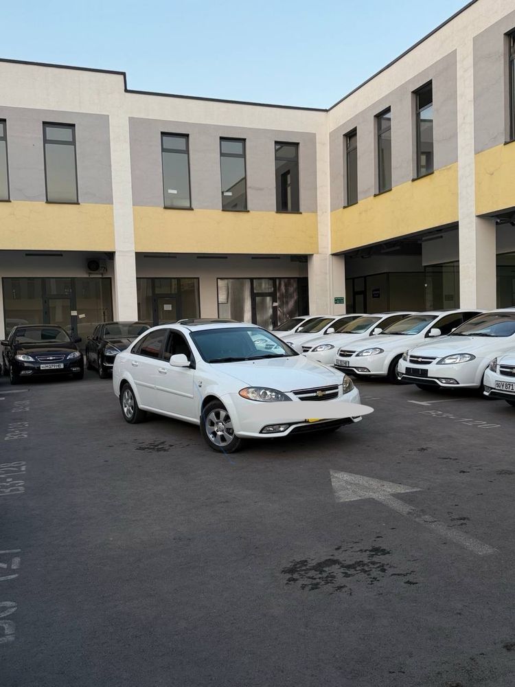 Rentcar suxoy arenda  oq jentra