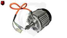 Motor tricicluri electrice tuk tuk Agramix noi
