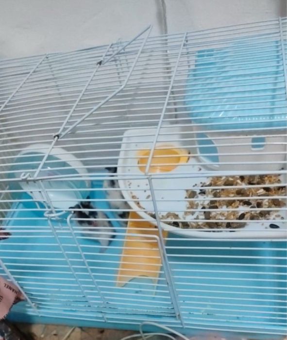 Клетка для грыгунов