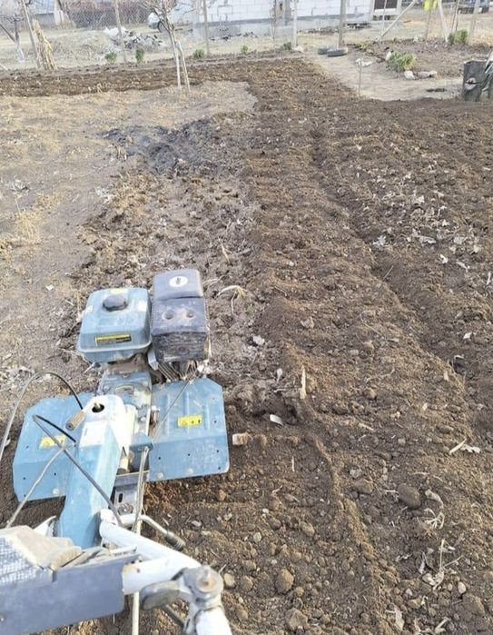 Motocultor pământ săpături toamna, Gradini!