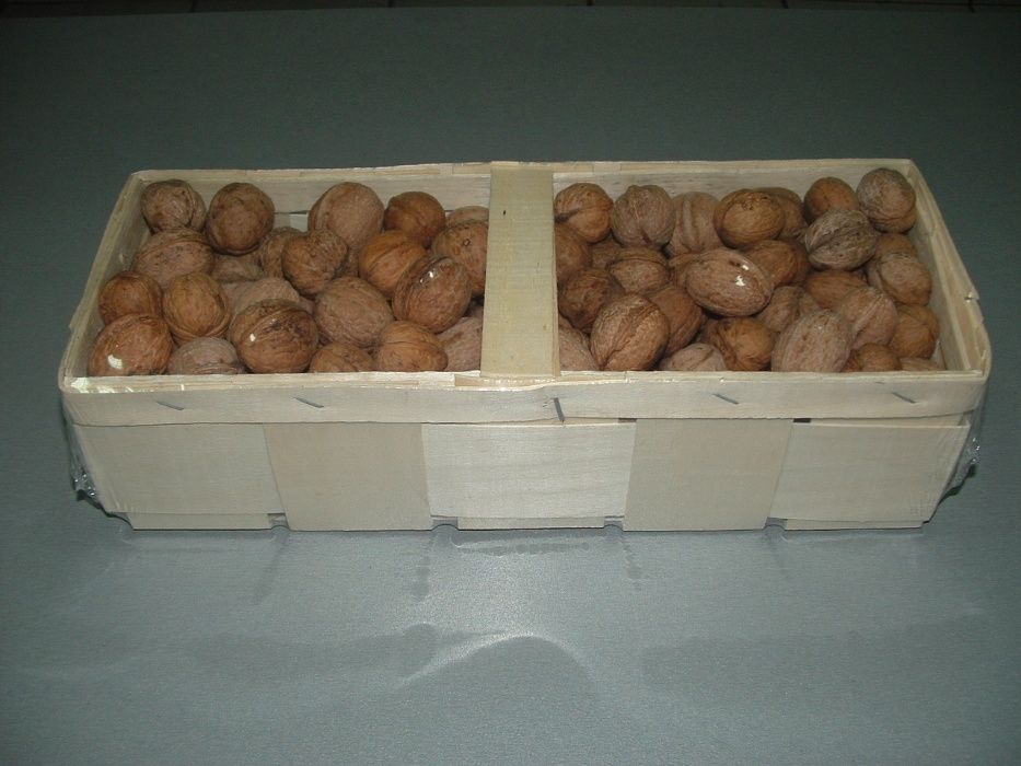 Градински орех и орехова ядка прясна реколта 2024