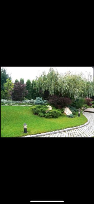 Amenajari gradini , plante ornamentale