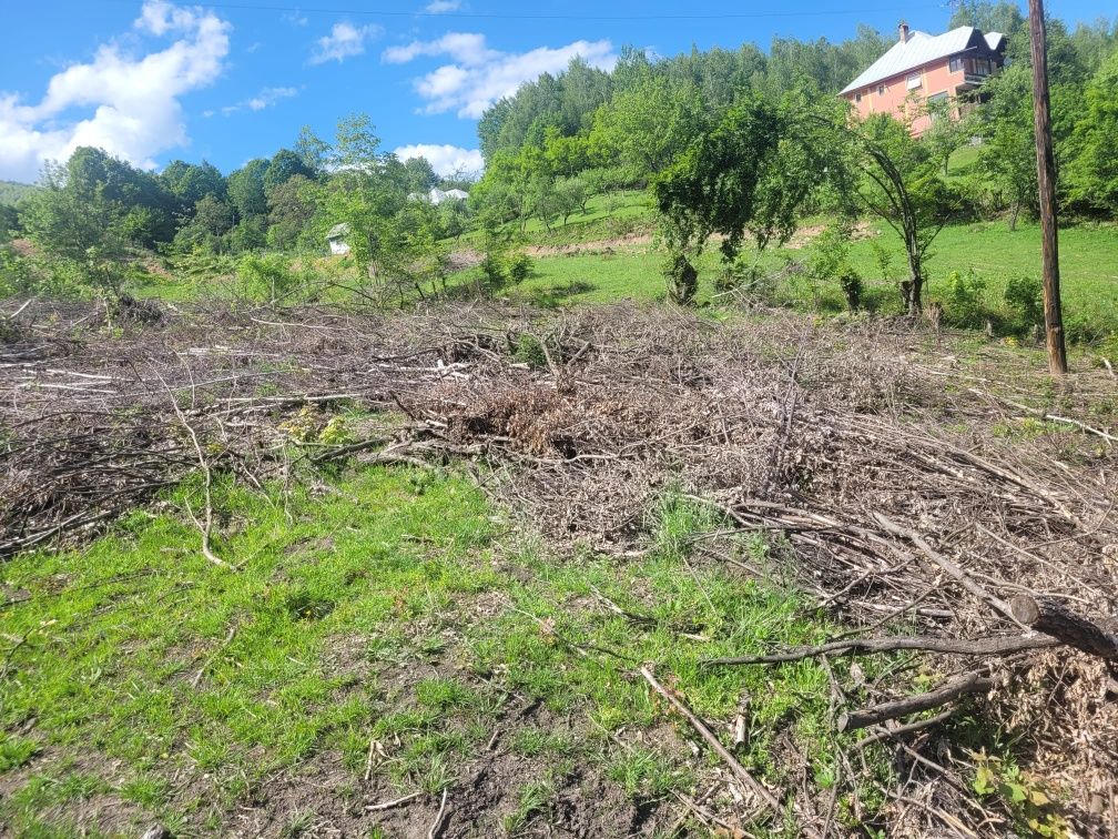 Vand teren în Cavnic