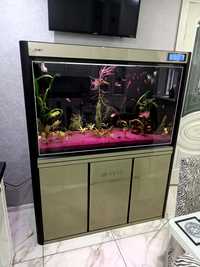 Продам аквариум фирмы BOYUна 400л