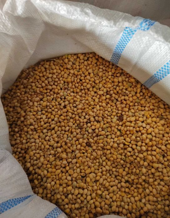 Vand 200 kg soia
