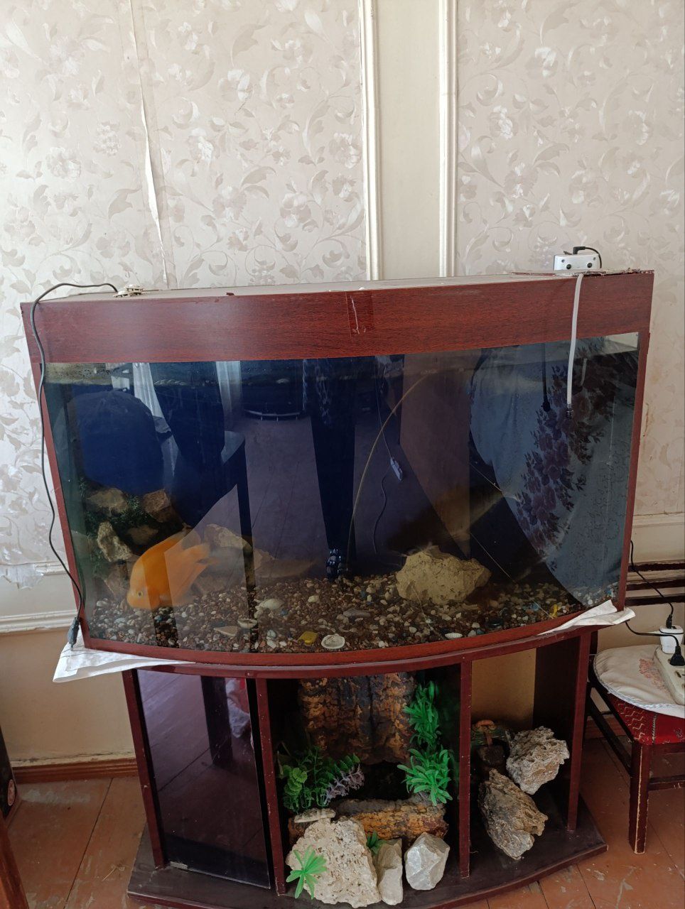 Akvarium va baliqlar sotiladi