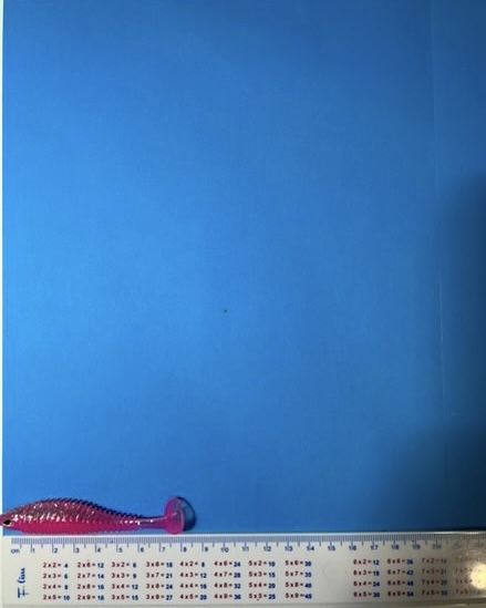 Тамъки - DeepFiish