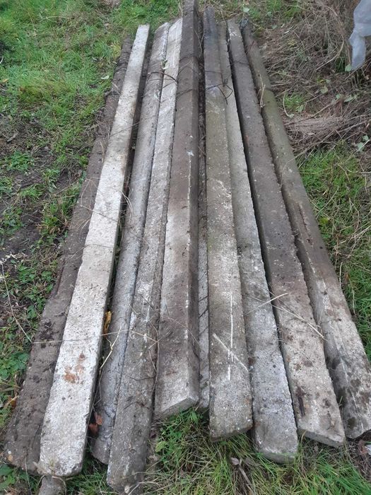 Spalieri de vie 2,4 metri