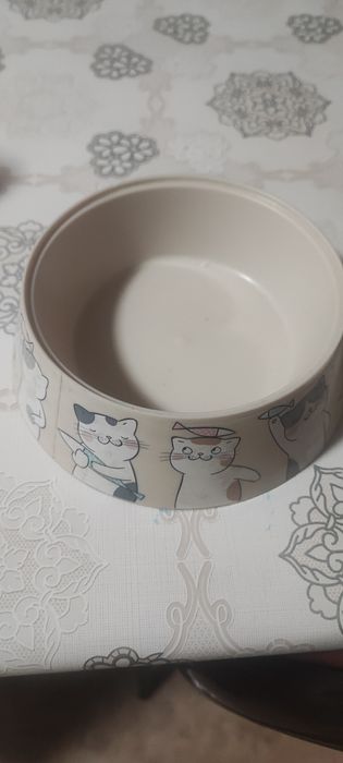 Аксессуары для кошки