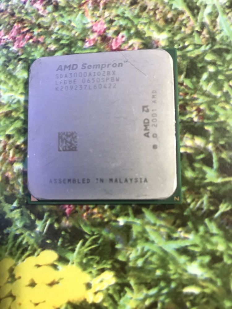 AMD Sempron 64 3000+ AM2 Процесор