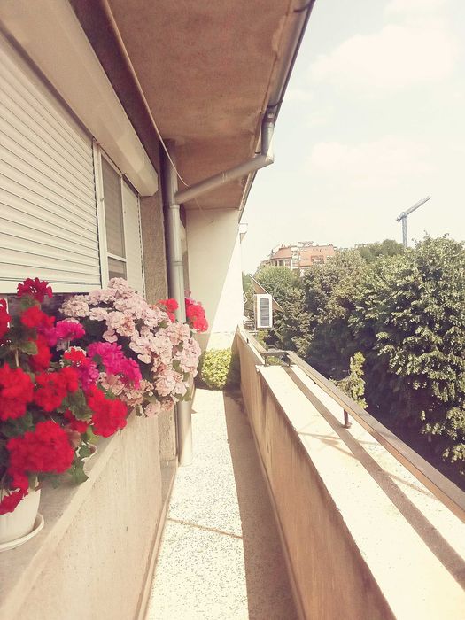 Продава се Четиристаен апартамент в с. Герман, Област София-град - 104 кв.м за 3318 €/кв.м - Снимка #7