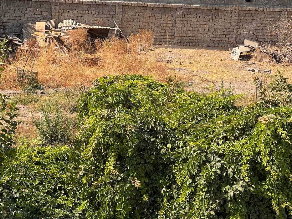 Yangi hayot tumani chortoq mahallada 6 sotixli er sotiladi.