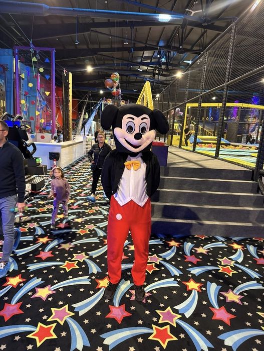 Animatori petreceri copii