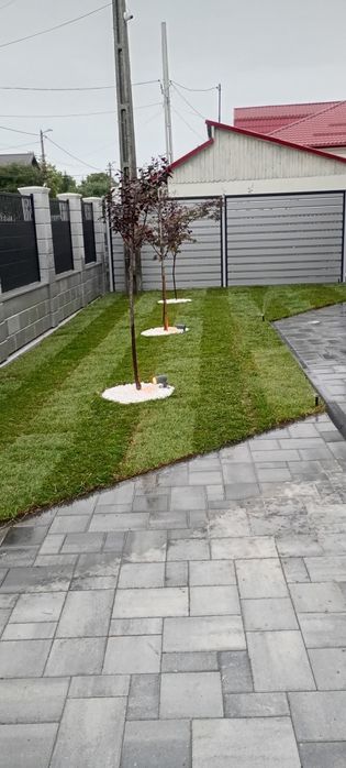 Amenajare si intretinere spatii verzi