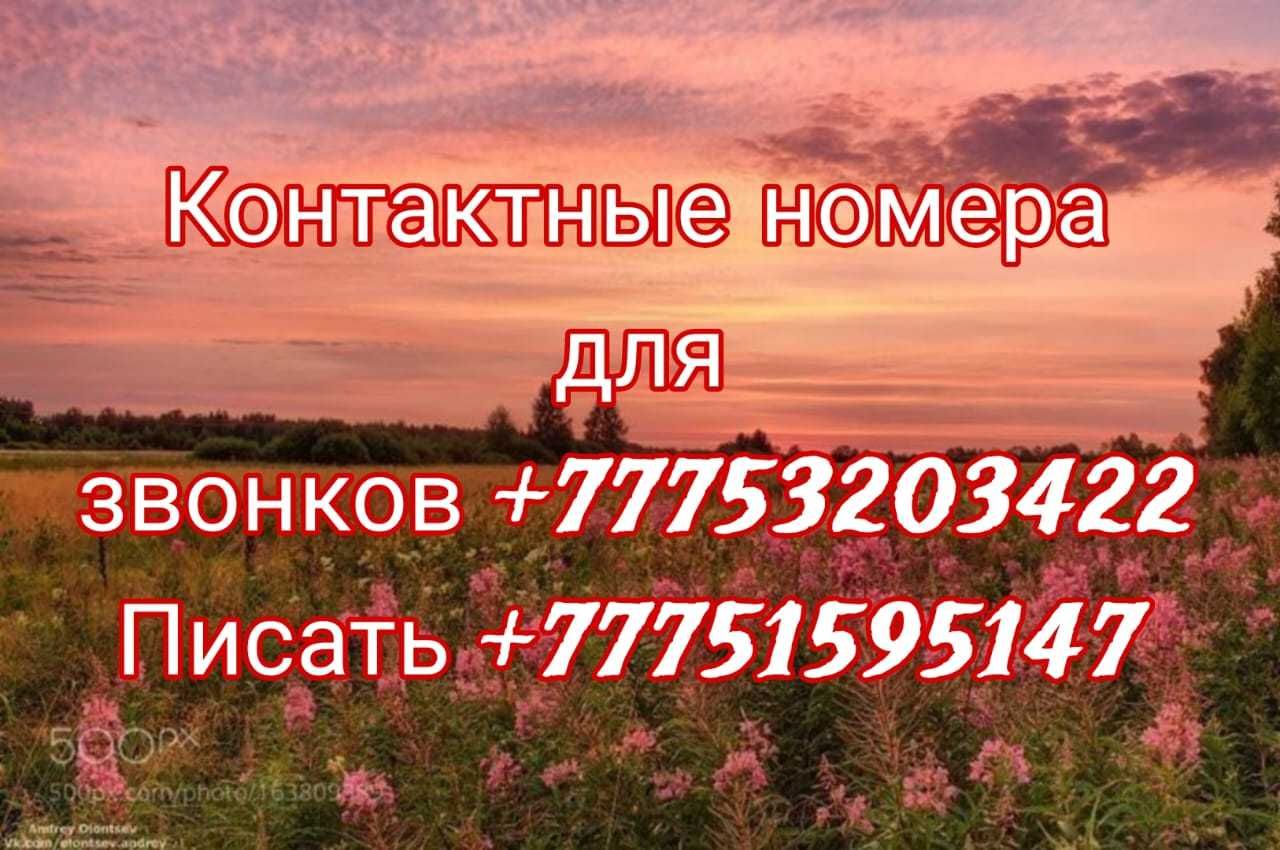 Сдам времянку долгосрочно