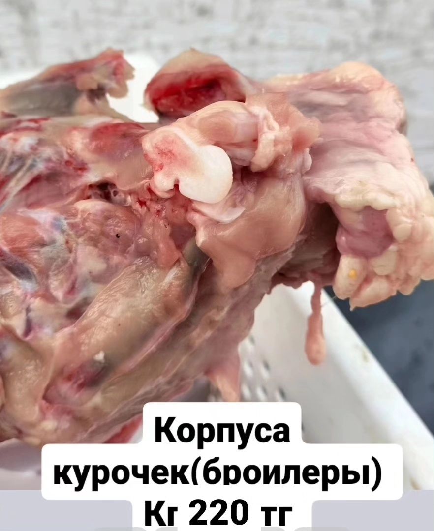 универсальный корм Кончики крылышек для собак и кошек
