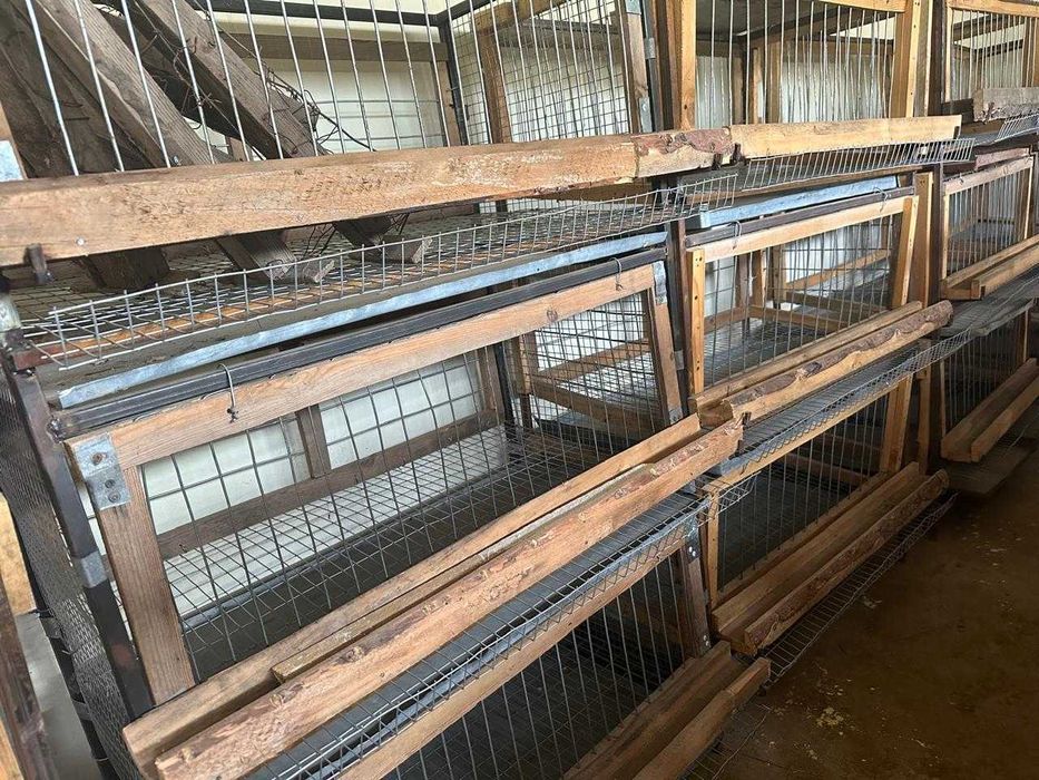 Ферма для курей продается договорная