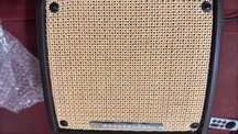 Amplificator Chitară Acustică Ibanez T15II-U Combo cub
