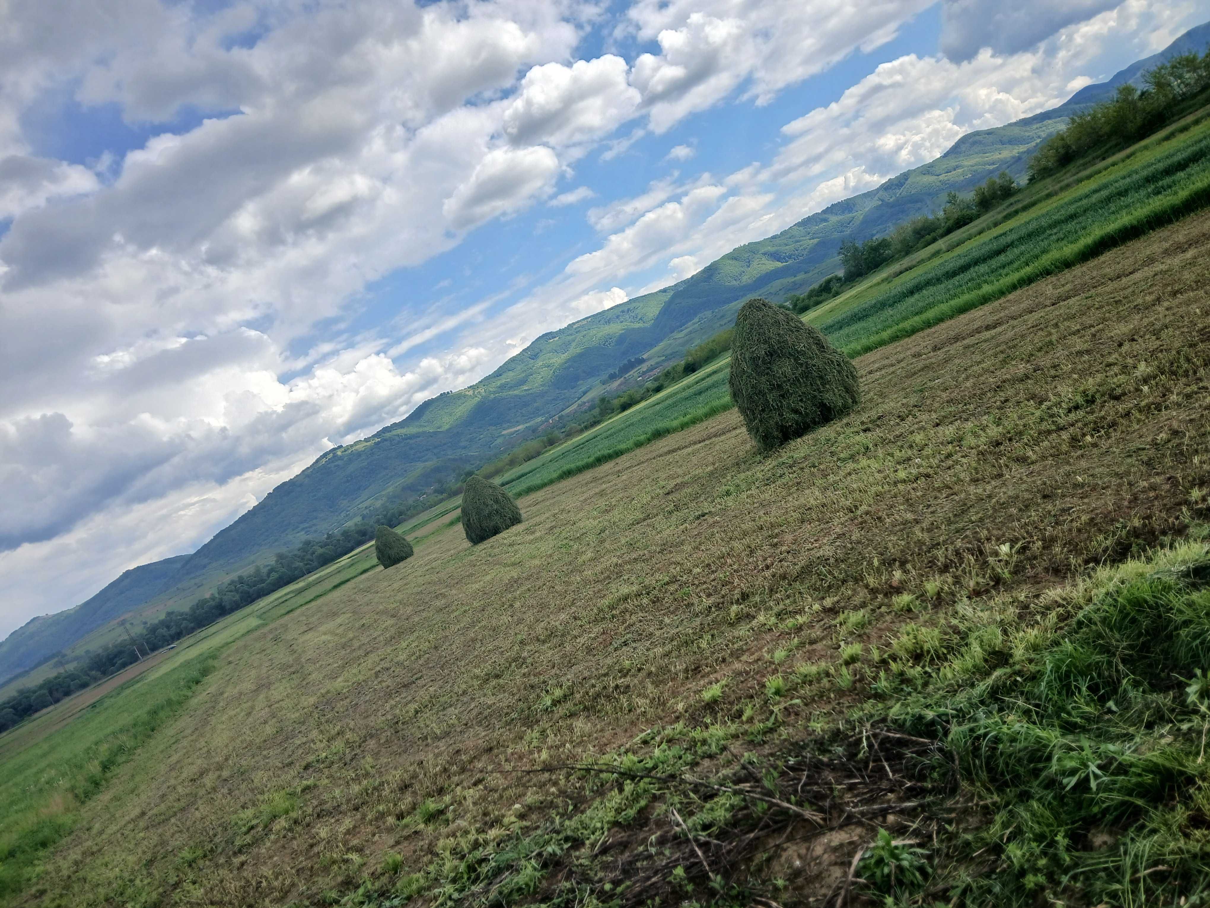 Vand lucerna de anu acesta