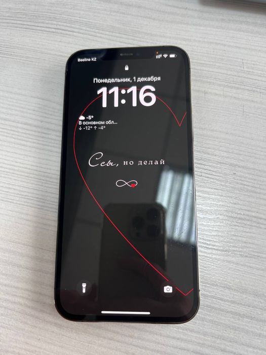 iPhone 12 Pro Max • 256 GB