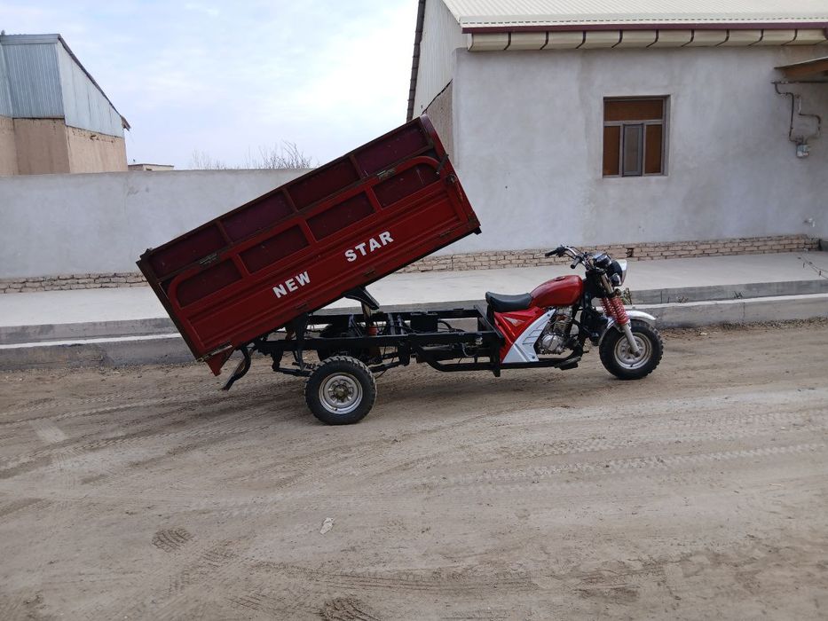 New star murave sotiladi