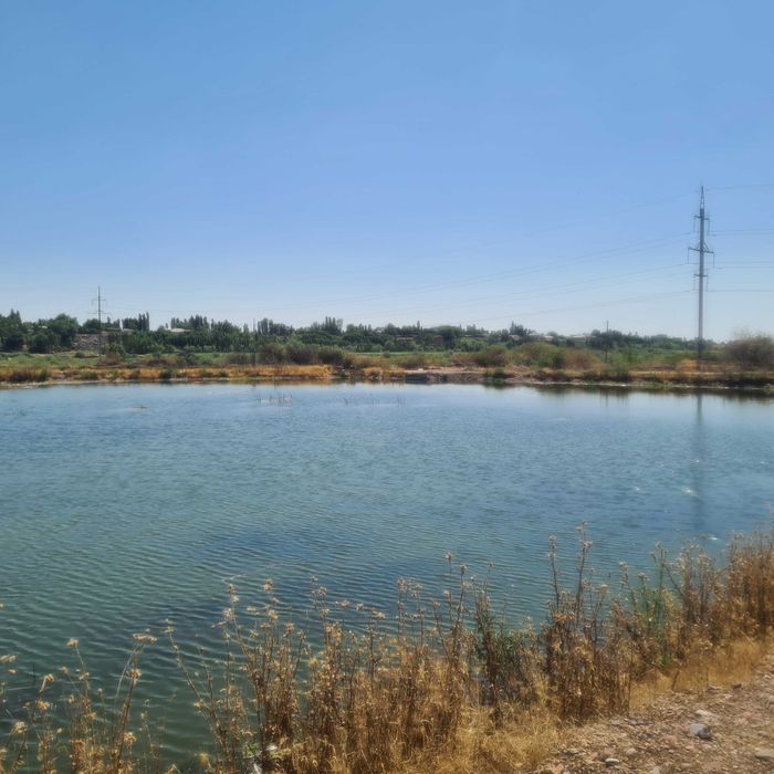 4 гектара вдоль реки на Ташморе.