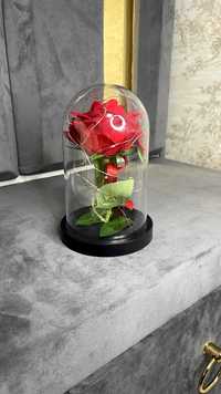 Trandafir roșu în cupolă de sticlă cu luminițe