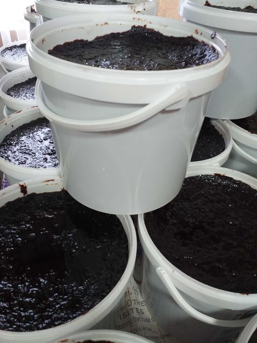 Magiun de prune Bio fara zahar adaugat