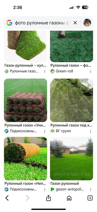 Рулонные газоны качественно.