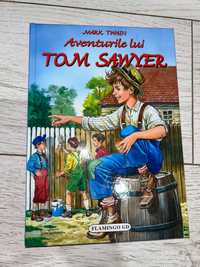 Carte Avemturile lui Tom Sawyer
