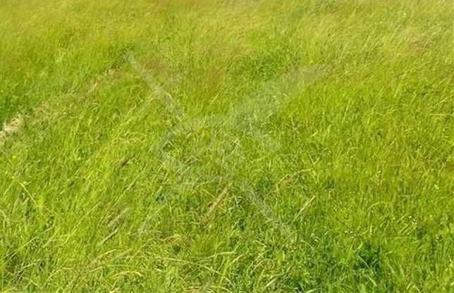 УПИ в Златитрап 93702