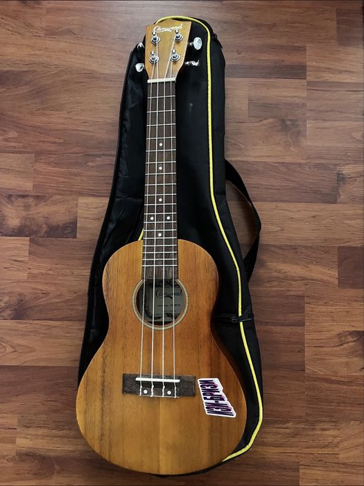 Музыкальный инструмент