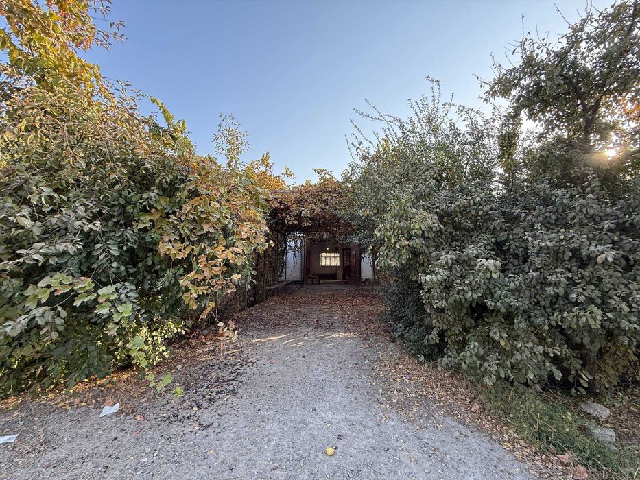 Buxoroda TAYYOR 12 Sotiqli hovli sotiladi