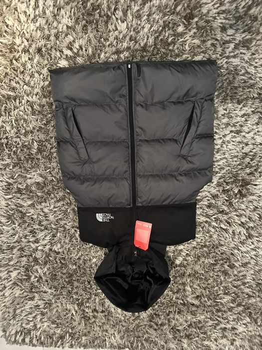 Veste the north face