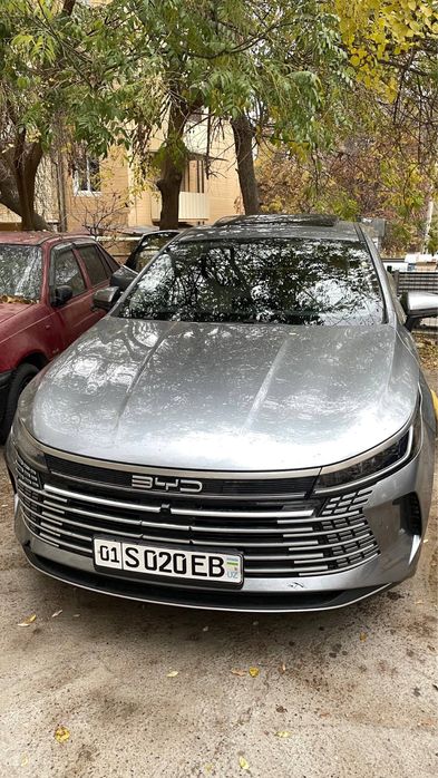 BYD Chazor DM-i  2024