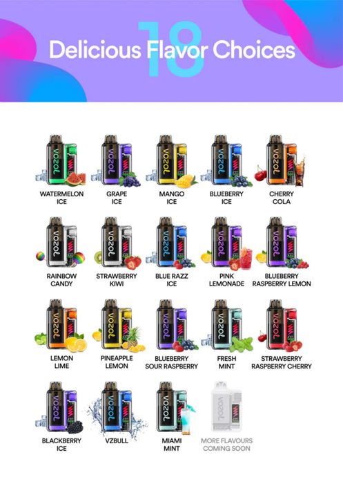 Vozol Vista Plug 10000 puff reincarcabil usb-c
