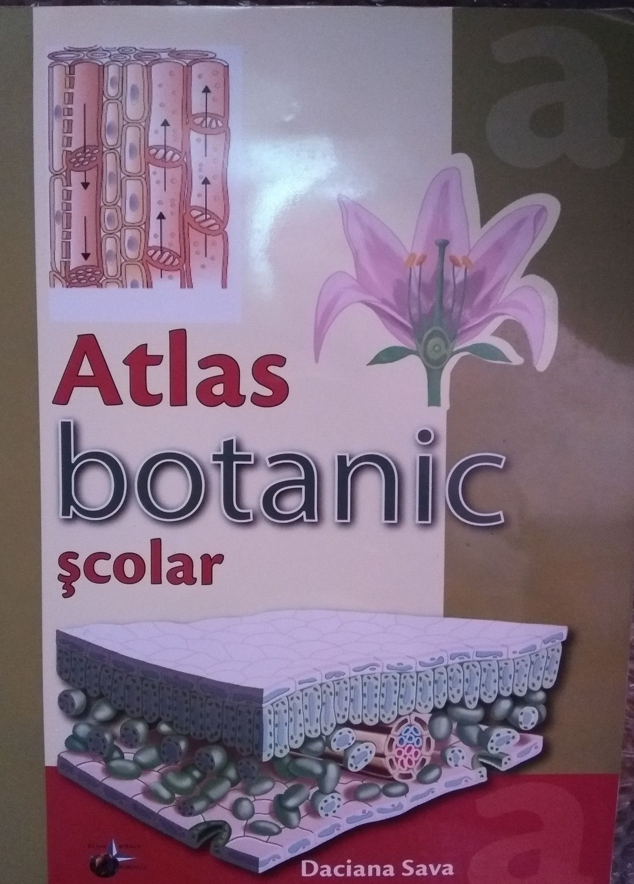 Atlas botanic școlar