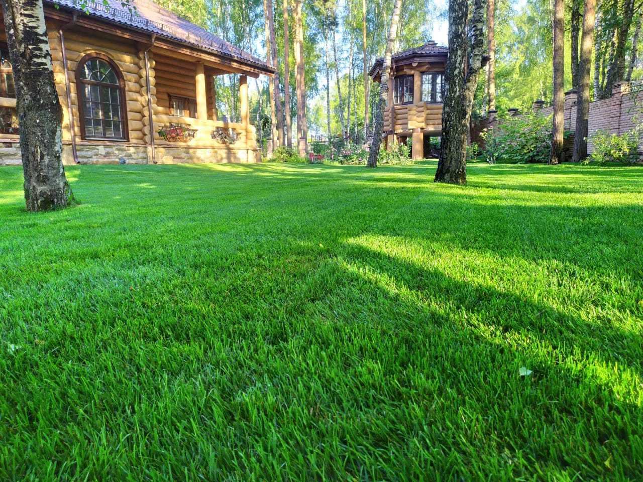 Натуральный Газон Алматы полей купить рулонный газон трава дерн семена